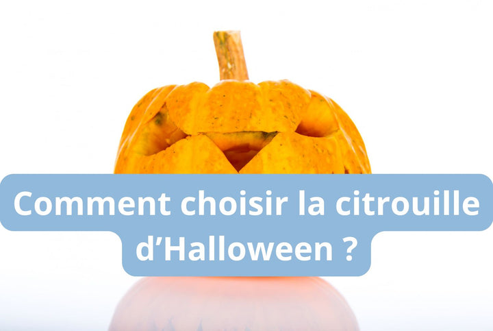 Comment choisir la citrouille d’Halloween ?