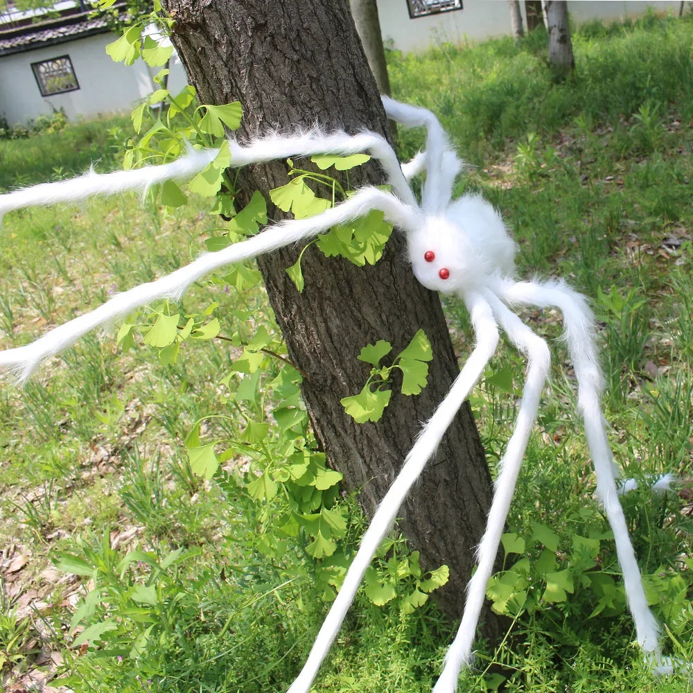 Araignée Géante Blanche Durable
