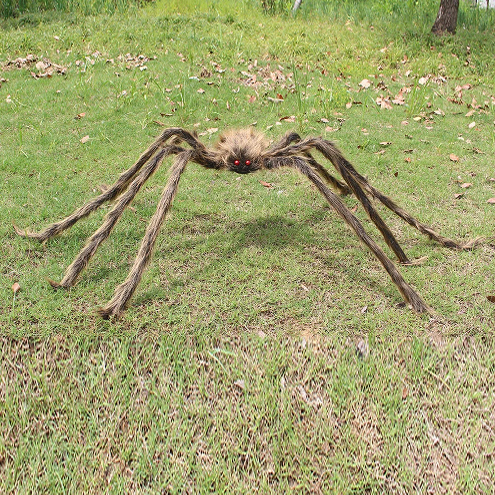 Araignée Géante Marron Design
