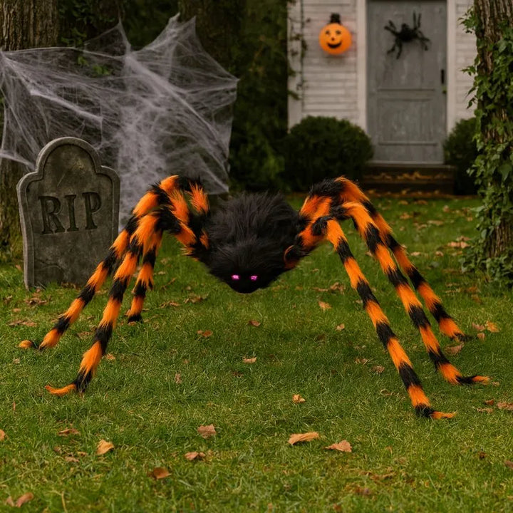 Araignée Noire et Orange Géante