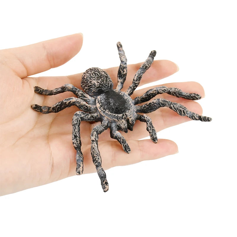 Araignée en Plastique Réaliste Chic