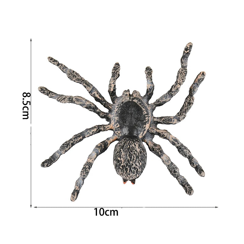 Araignée en Plastique Réaliste Détaillé