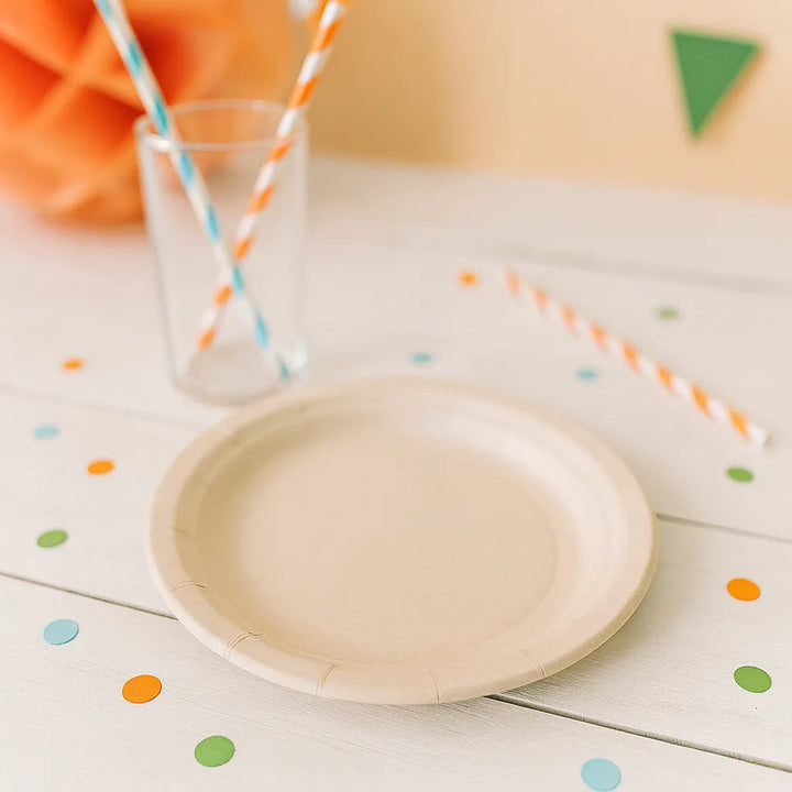 Assiette Jetable Blanche Uni