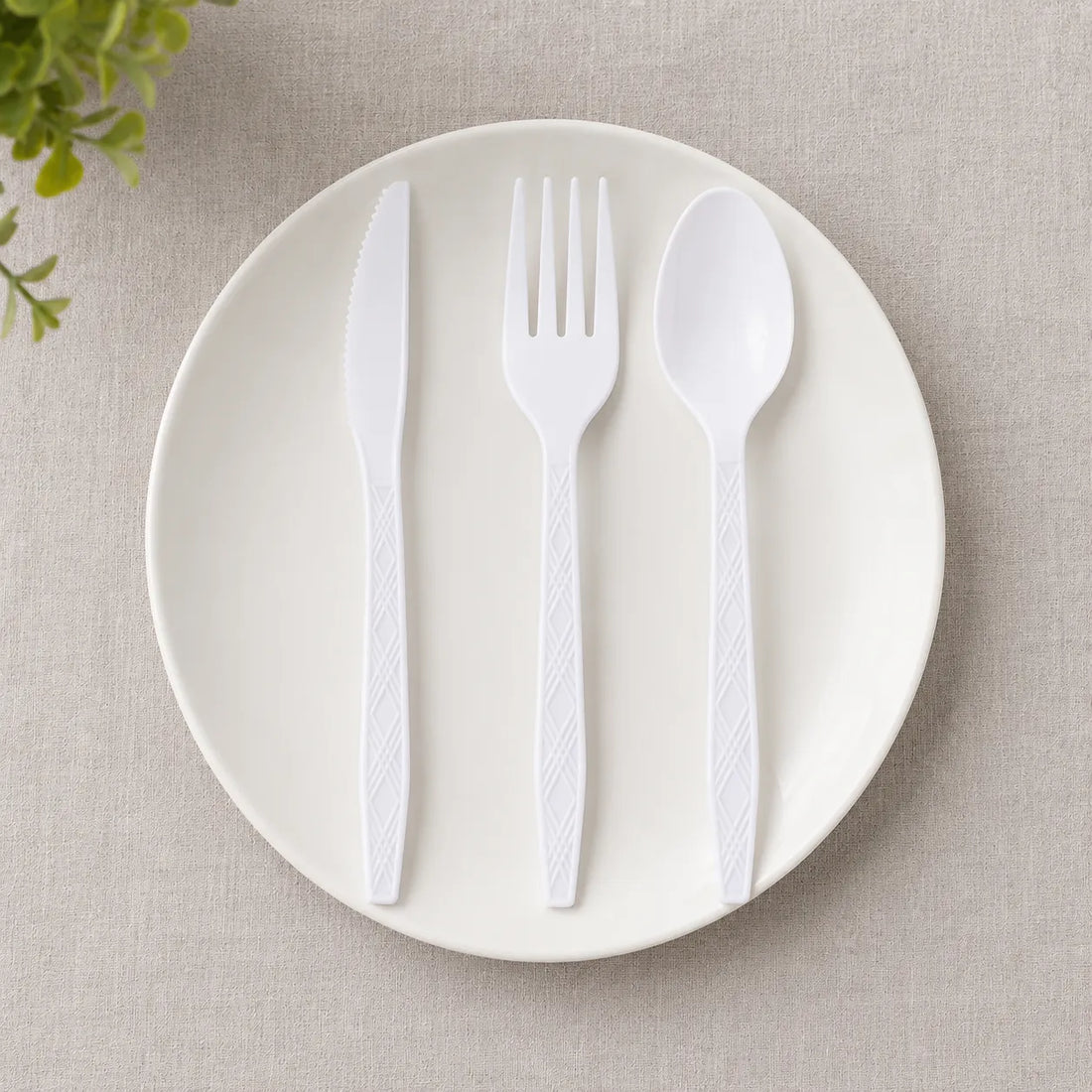 Couverts Jetables Blancs