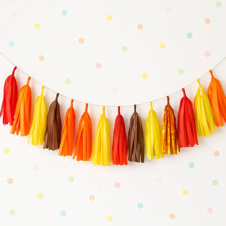 Guirlande Pompons Couleur Flamme