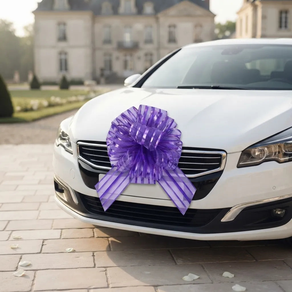 Nœud Violet Déco Voiture Dimensions Design