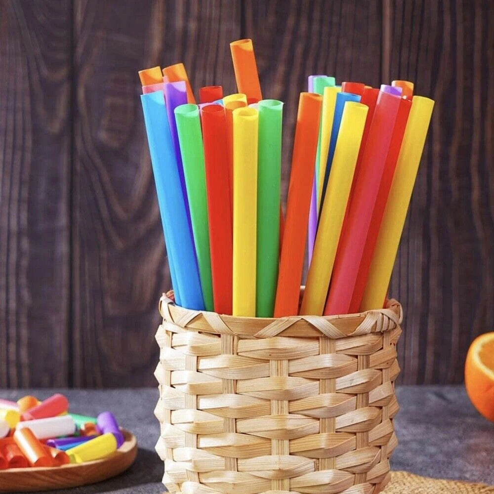 Paille en Plastique Colorée épaisse
