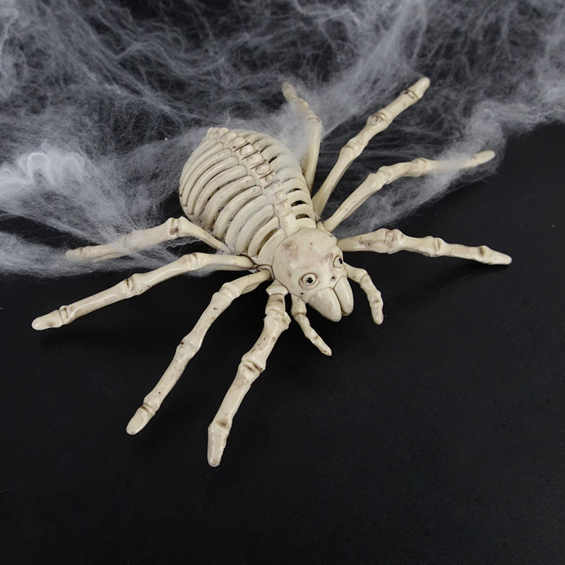 Squelette Araignée Halloween