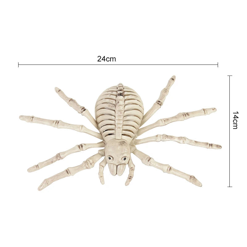 Squelette Araignée Halloween Design